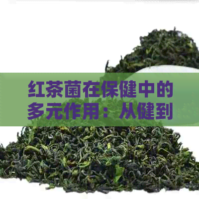 红茶菌在保健中的多元作用：从健到治疗的全面解析