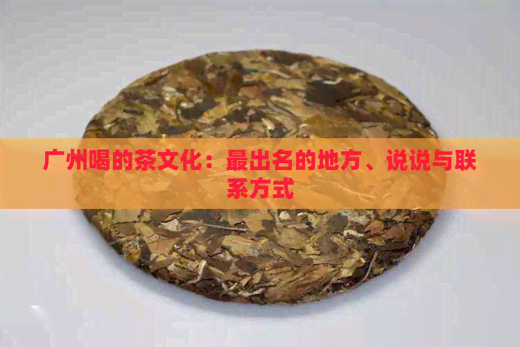 广州喝的茶文化：最出名的地方、说说与联系方式