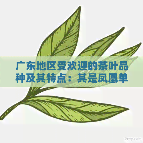 广东地区受欢迎的茶叶品种及其特点：其是凤凰单枞茶的独特滋味受人追捧