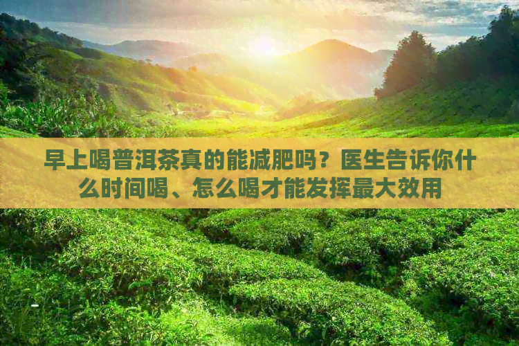 早上喝普洱茶真的能减肥吗？医生告诉你什么时间喝、怎么喝才能发挥更大效用