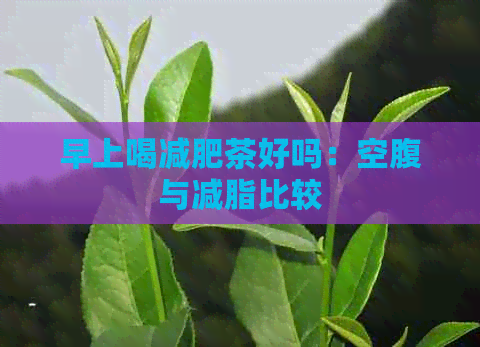 早上喝减肥茶好吗：空腹与减脂比较