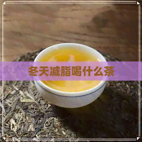 冬天减脂喝什么茶