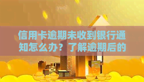 信用卡逾期未收到银行通知怎么办？了解逾期后的短信提醒与处理流程