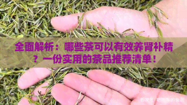 全面解析：哪些茶可以有效养肾补精？一份实用的茶品推荐清单！