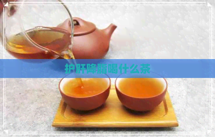 护肝降脂喝什么茶