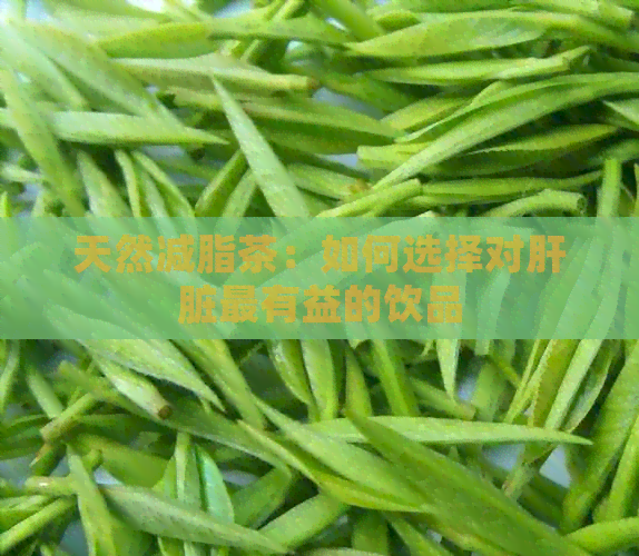 天然减脂茶：如何选择对肝脏最有益的饮品