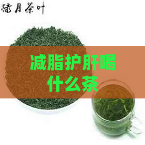 减脂护肝喝什么茶