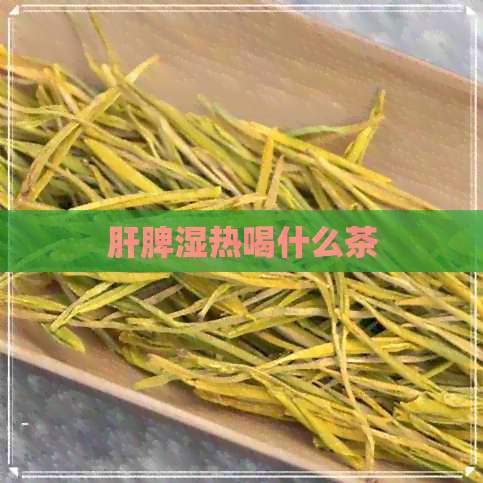 肝脾湿热喝什么茶