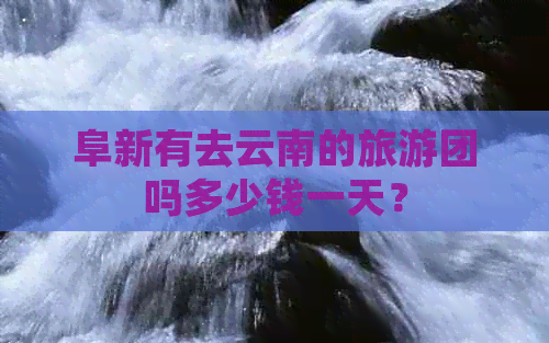 阜新有去云南的旅游团吗多少钱一天？