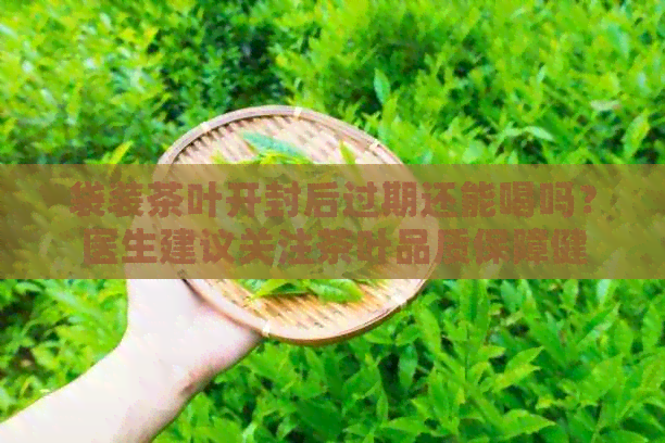 袋装茶叶开封后过期还能喝吗？医生建议关注茶叶品质保障健