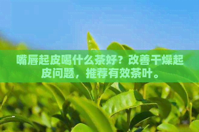 嘴唇起皮喝什么茶好？改善干燥起皮问题，推荐有效茶叶。