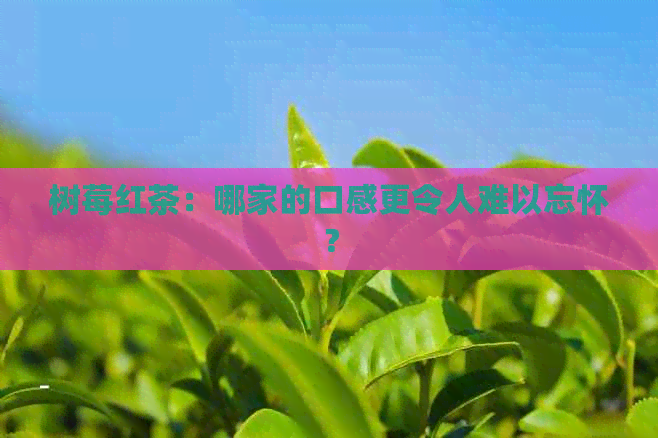 树莓红茶：哪家的口感更令人难以忘怀？