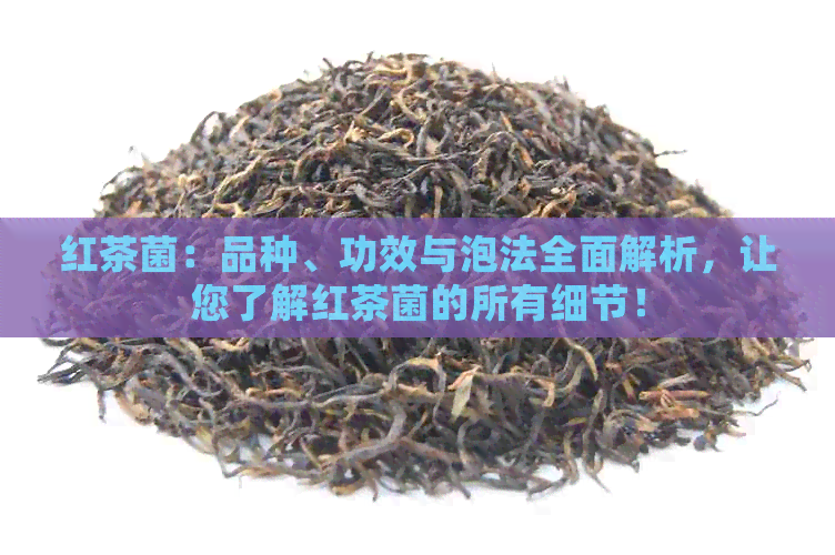 红茶菌：品种、功效与泡法全面解析，让您了解红茶菌的所有细节！