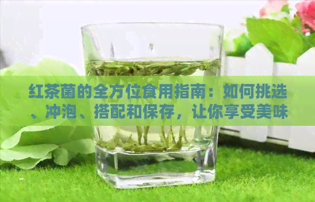 红茶菌的全方位食用指南：如何挑选、冲泡、搭配和保存，让你享受美味与健