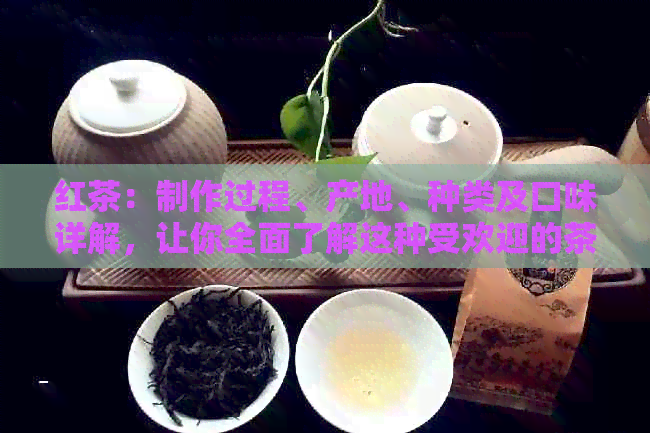 红茶：制作过程、产地、种类及口味详解，让你全面了解这种受欢迎的茶叶