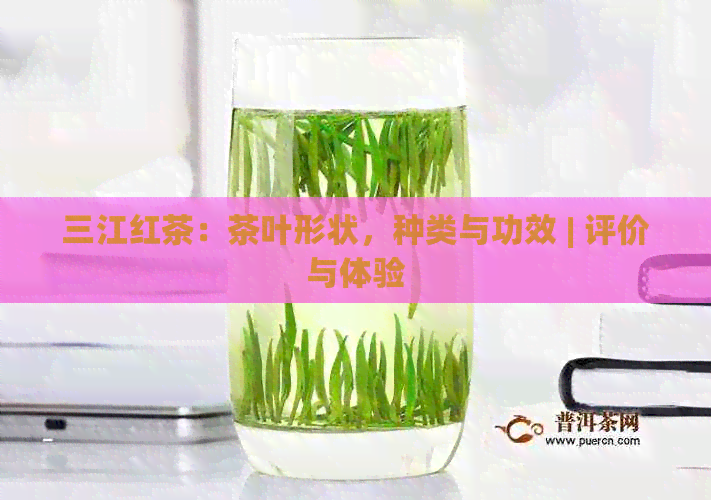 三江红茶：茶叶形状，种类与功效 | 评价与体验