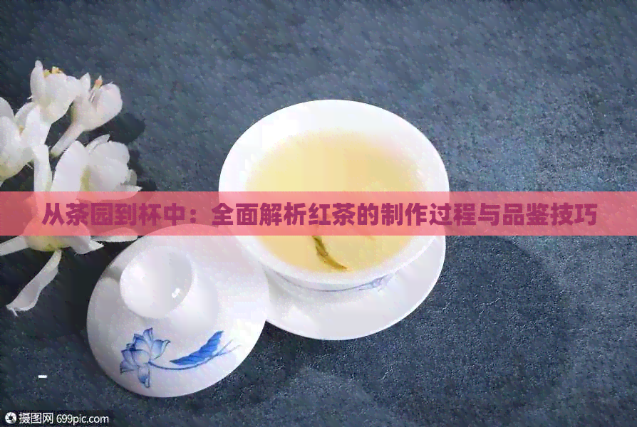 从茶园到杯中：全面解析红茶的制作过程与品鉴技巧