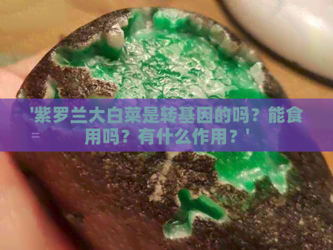 '紫罗兰大白菜是转基因的吗？能食用吗？有什么作用？'