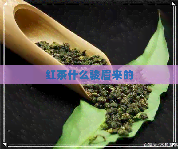 红茶什么骏眉来的