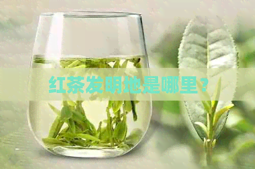 红茶发明地是哪里？