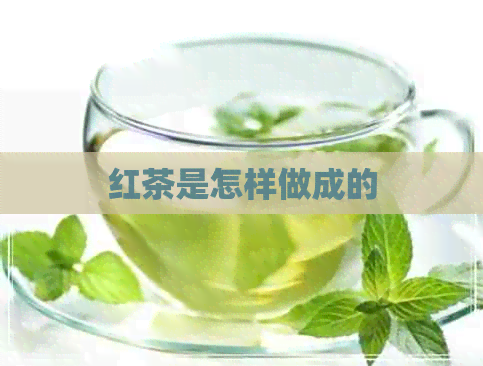 红茶是怎样做成的