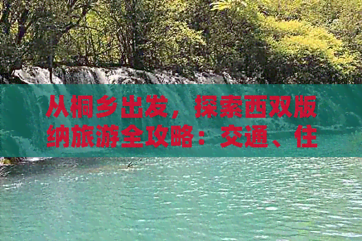 从桐乡出发，探索西双版纳旅游全攻略：交通、住宿、景点及美食一网打尽！