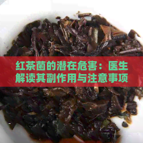 红茶菌的潜在危害：医生解读其副作用与注意事项