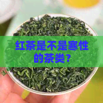 红茶是不是寒性的茶类？