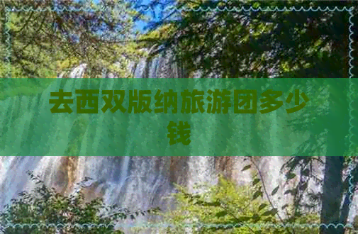 去西双版纳旅游团多少钱