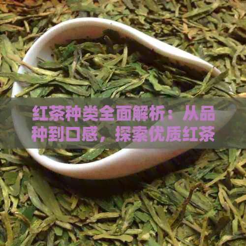 红茶种类全面解析：从品种到口感，探索优质红茶的选购与品鉴之道