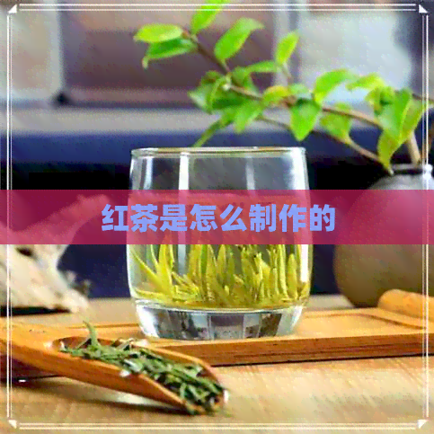 红茶是怎么制作的