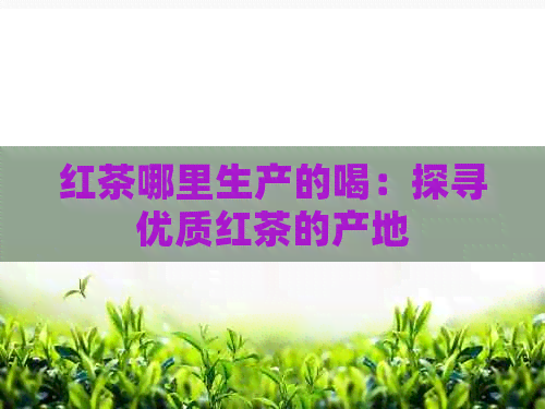 红茶哪里生产的喝：探寻优质红茶的产地