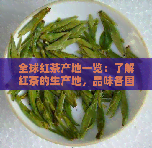 全球红茶产地一览：了解红茶的生产地，品味各国特色红茶