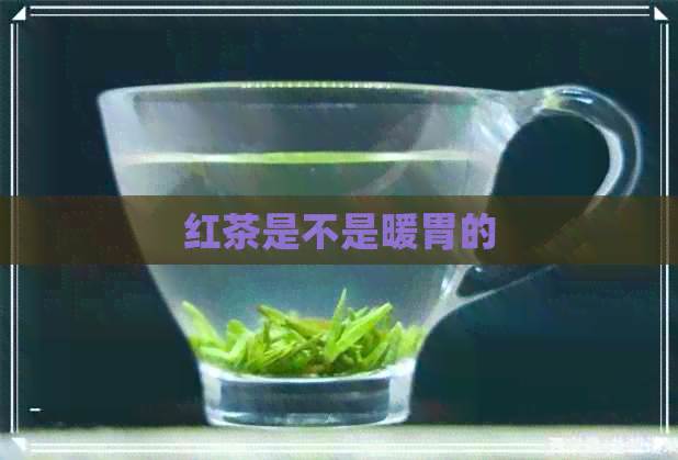 红茶是不是暖胃的