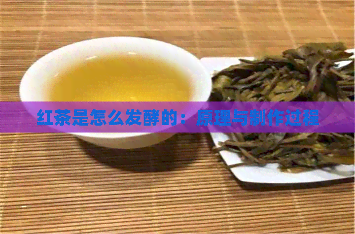 红茶是怎么发酵的：原理与制作过程