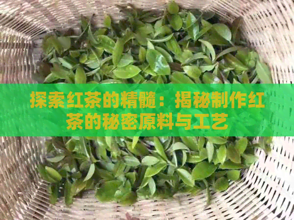 探索红茶的精髓：揭秘制作红茶的秘密原料与工艺