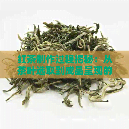 红茶制作过程揭秘：从茶叶选取到成品呈现的全面解析