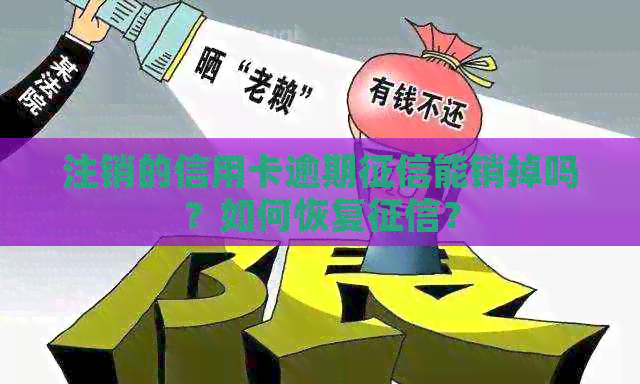 注销的信用卡逾期能销掉吗？如何恢复？