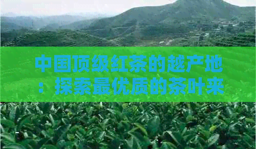 中国顶级红茶的越产地：探索更优质的茶叶来自哪里