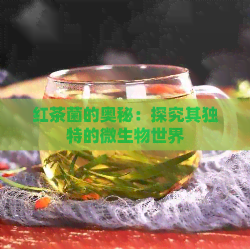 红茶菌的奥秘：探究其独特的微生物世界