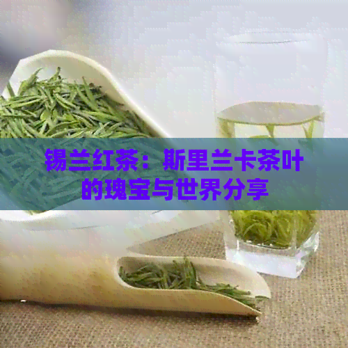 锡兰红茶：斯里兰卡茶叶的瑰宝与世界分享