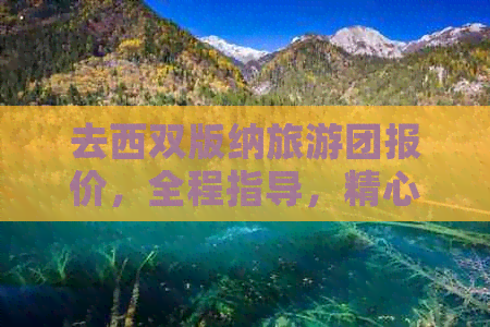 去西双版纳旅游团报价，全程指导，精心安排！