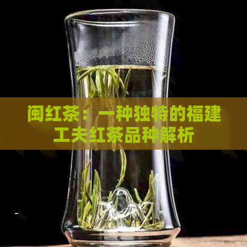 闽红茶：一种独特的福建工夫红茶品种解析