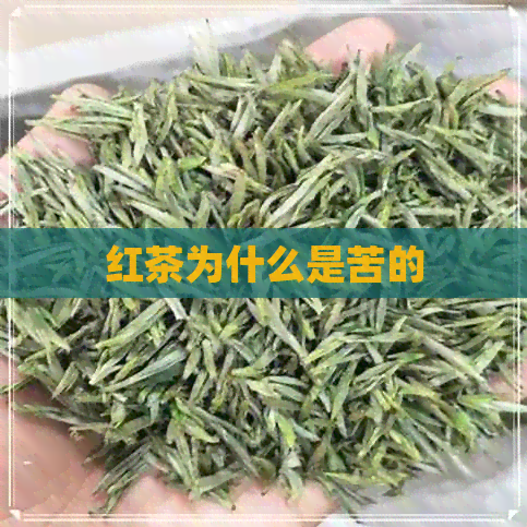 红茶为什么是苦的