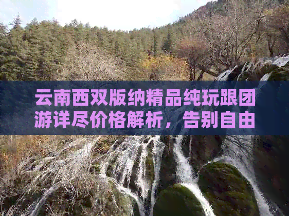 云南西双版纳精品纯玩跟团游详尽价格解析，告别自由行的烦恼