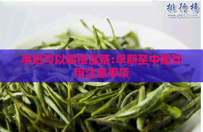 孕妇可以喝祛湿茶:早期至中期饮用注意事项