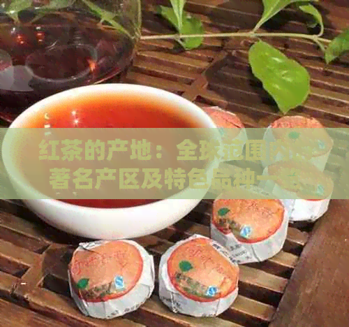 红茶的产地：全球范围内的著名产区及特色品种一览