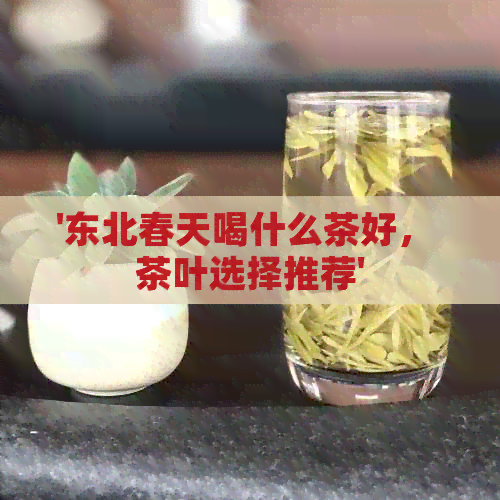 '东北春天喝什么茶好， 茶叶选择推荐'