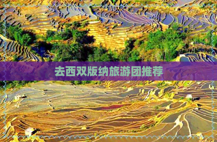 去西双版纳旅游团推荐