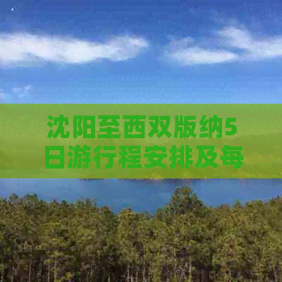 沈阳至西双版纳5日     程安排及每日费用，请报价